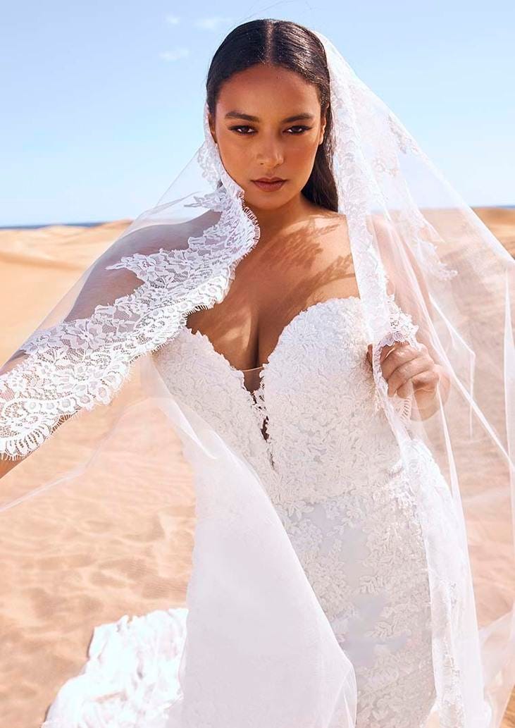 Une mari&eacute;e &eacute;l&eacute;gante dans une robe de mariage sir&egrave;ne en dentelle &agrave; bustier. La mari&eacute;e arbore un voile transparent en dentelle